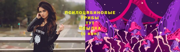 дживик Баксан