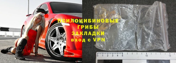 дживик Баксан