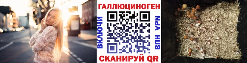 Галлюциногенные грибы Cubensis Конаково